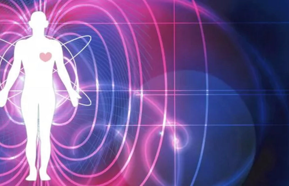 Human Electromagnetic Field human-electromagnetic-field