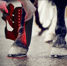 Load image into Gallery viewer, New JuvaSplint Quad Battery Powered Red Light Therapy Tendon Boots For Horses (4 Per Set)
