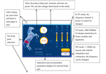 Load image into Gallery viewer, New Physio Magneto ‘War Horse’ Super Transduction Magnetic Field And Infrared Therapy Machine for Pain, Wounds and Fractures