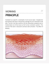 Load image into Gallery viewer, New Limelight 360° 6D Green Laser Lipo System for Non Surgical Fat Removal