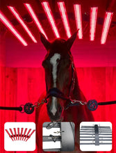 Load image into Gallery viewer, Equine Therapy Horse Foal Light Barn Drimee Sirocco Infrared Red Light Therapy Solarium
