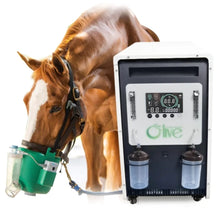 Load image into Gallery viewer, High Flow Veterinarian Uses Horse Cow 20L Oxygen Concentrator