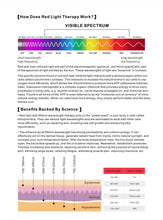 Load image into Gallery viewer, 2026 JuvaMat Standard Sized Economical Total Body Red Light Therapy Mat