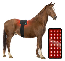 Load image into Gallery viewer, Red Light Therapy Horse Dog Cat Veterinarian Equine Therapist Wearable Infrared Wrap Pad Sports Injuries Arthritis wounds knee back pain