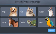 Load image into Gallery viewer, New JuvaVet Class IV Therapeutic Laser For Dogs Cats Horses