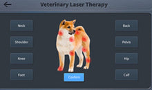 Load image into Gallery viewer, New JuvaVet Class IV Therapeutic Laser For Dogs Cats Horses