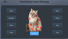 Load image into Gallery viewer, New JuvaVet Class IV Therapeutic Laser For Dogs Cats Horses