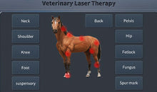 Load image into Gallery viewer, New JuvaVet Class IV Therapeutic Laser For Dogs Cats Horses