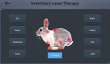Load image into Gallery viewer, New JuvaVet Class IV Therapeutic Laser For Dogs Cats Horses