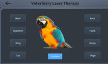 Load image into Gallery viewer, New JuvaVet Class IV Therapeutic Laser For Dogs Cats Horses