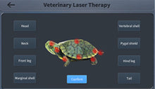 Load image into Gallery viewer, New JuvaVet Class IV Therapeutic Laser For Dogs Cats Horses