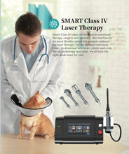 Load image into Gallery viewer, New JuvaVet Class IV Therapeutic Laser For Dogs Cats Horses