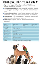 Load image into Gallery viewer, New JuvaVet Class IV Therapeutic Laser For Dogs Cats Horses