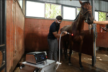 Load image into Gallery viewer, New JuvaVet Class IV Therapeutic Laser For Dogs Cats Horses