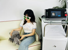 Load image into Gallery viewer, New JuvaVet Class IV Therapeutic Laser For Dogs Cats Horses