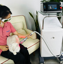 Load image into Gallery viewer, New JuvaVet Class IV Therapeutic Laser For Dogs Cats Horses