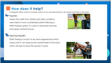 Load image into Gallery viewer, PMST LOOP EQ, the PEMF machine for horses, livestock and pets with Rugged Field Case