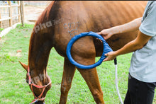 Load image into Gallery viewer, PMST LOOP EQ, the PEMF machine for horses, livestock and pets with Rugged Field Case