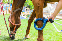 Load image into Gallery viewer, PMST LOOP EQ, the PEMF machine for horses, livestock and pets with Rugged Field Case