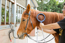 Load image into Gallery viewer, PMST LOOP EQ, the PEMF machine for horses, livestock and pets with Rugged Field Case