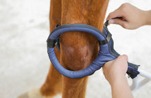 Load image into Gallery viewer, PMST LOOP EQ, the PEMF machine for horses, livestock and pets with Rugged Field Case