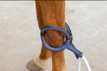 Load image into Gallery viewer, PMST LOOP EQ, the PEMF machine for horses, livestock and pets with Rugged Field Case