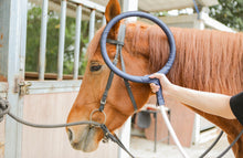 Load image into Gallery viewer, PMST LOOP EQ, the PEMF machine for horses, livestock and pets with Rugged Field Case