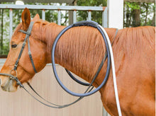 Load image into Gallery viewer, PMST LOOP EQ, the PEMF machine for horses, livestock and pets with Rugged Field Case