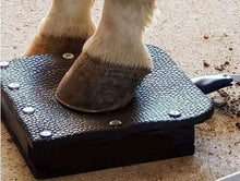 Load image into Gallery viewer, PMST LOOP EQ, the PEMF machine for horses, livestock and pets with Rugged Field Case