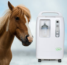 Load image into Gallery viewer, High Flow Veterinarian Uses Horse Cow 20L Oxygen Concentrator