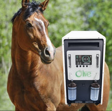 Load image into Gallery viewer, High Flow Veterinarian Uses Horse Cow 20L Oxygen Concentrator