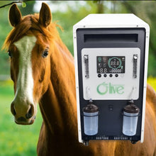 Load image into Gallery viewer, High Flow Veterinarian Uses Horse Cow 20L Oxygen Concentrator
