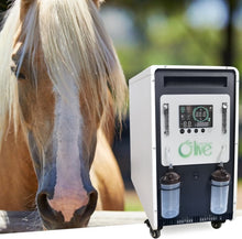 Load image into Gallery viewer, High Flow Veterinarian Uses Horse Cow 20L Oxygen Concentrator