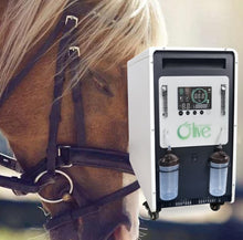 Load image into Gallery viewer, High Flow Veterinarian Uses Horse Cow 20L Oxygen Concentrator