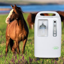 Load image into Gallery viewer, High Flow Veterinarian Uses Horse Cow 20L Oxygen Concentrator