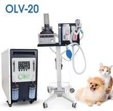 Load image into Gallery viewer, High Flow Veterinarian Uses Horse Cow 20L Oxygen Concentrator