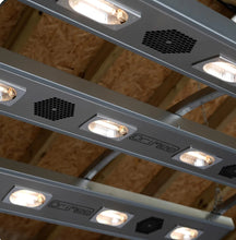 Load image into Gallery viewer, FoalLamp Red Light Therapy Horse Solarium