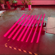 Load image into Gallery viewer, FoalLamp Red Light Therapy Horse Solarium