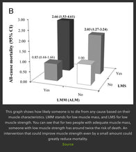Load image into Gallery viewer, 2025 JuvaSuit Professional EMS Electro Muscle Stimulation Fat Burning Split Vest Wet Suit