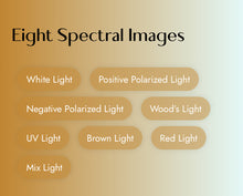 Load image into Gallery viewer, 2025 JuvaMap AI 17 Indicator 3D Skin Analyzer with Included 13.3” Android Tablet