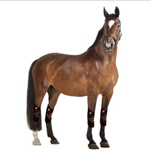 Load image into Gallery viewer, New JuvaHock Red Light Therapy Hock Boots for Horse (2 Per Order)
