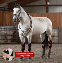 Load image into Gallery viewer, New JuvaHock Red Light Therapy Hock Boots for Horse (2 Per Order)