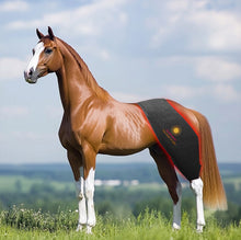 Load image into Gallery viewer, New JuvaBow Wireless XL Red Light Therapy Wrap for Horses
