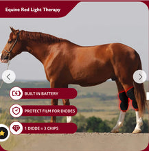Load image into Gallery viewer, New JuvaHock Red Light Therapy Hock Boots for Horse (2 Per Order)