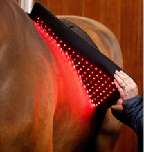 Load image into Gallery viewer, New JuvaGuard Red Light Therapy Spur Guard for Horses