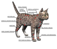 Load image into Gallery viewer, New JuvaPen Red Light Therapy Dog Cat Travel Carrier Crate Cage