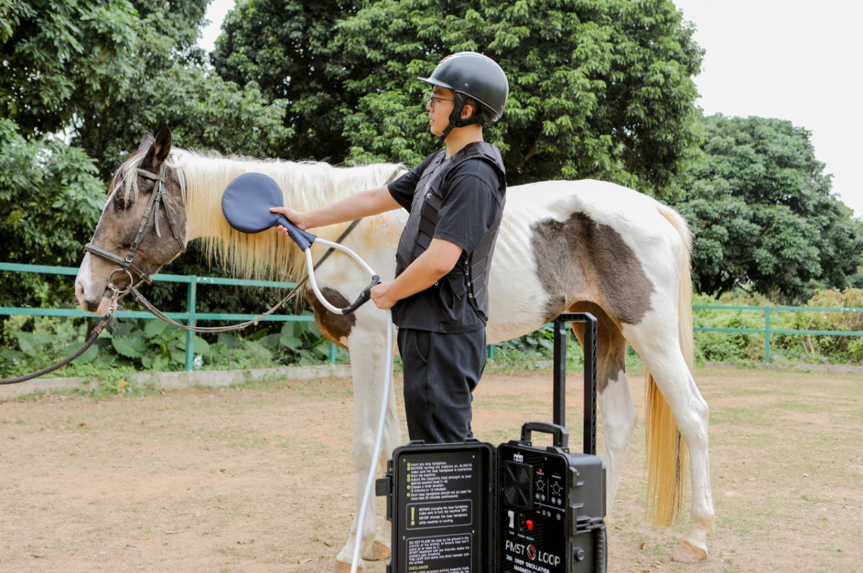 Pemf Machine for Horses Revolutionizes Equine Care