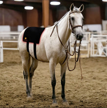 Load image into Gallery viewer, Red light therapy infrared pain relief spur guard for horses wireless battery powered