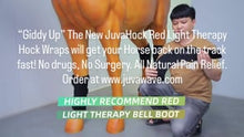 Load and play video in Gallery viewer, New JuvaHock Red Light Therapy Hock Boots for Horse (2 Per Order)