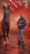 Load and play video in Gallery viewer, New JuvaVet Class IV Therapeutic Laser For Dogs Cats Horses
